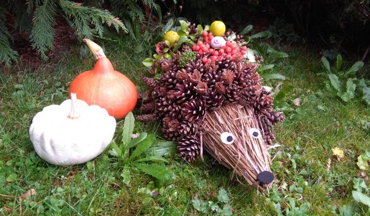 Jak vyrobit podzimního ježka z přírodnin | DIY