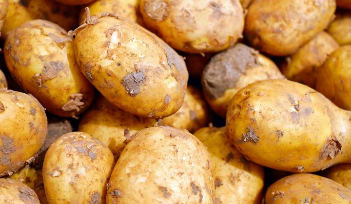 Jak správně uskladnit brambory | rady
