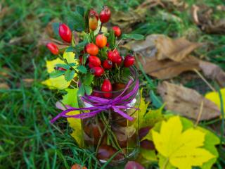Jak vyrobit podzimní dekorace z přírodnin | tipy na sezónní výzdobu