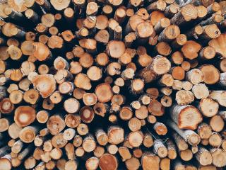 Jak skládat a sušit dřevo do krbů | rady