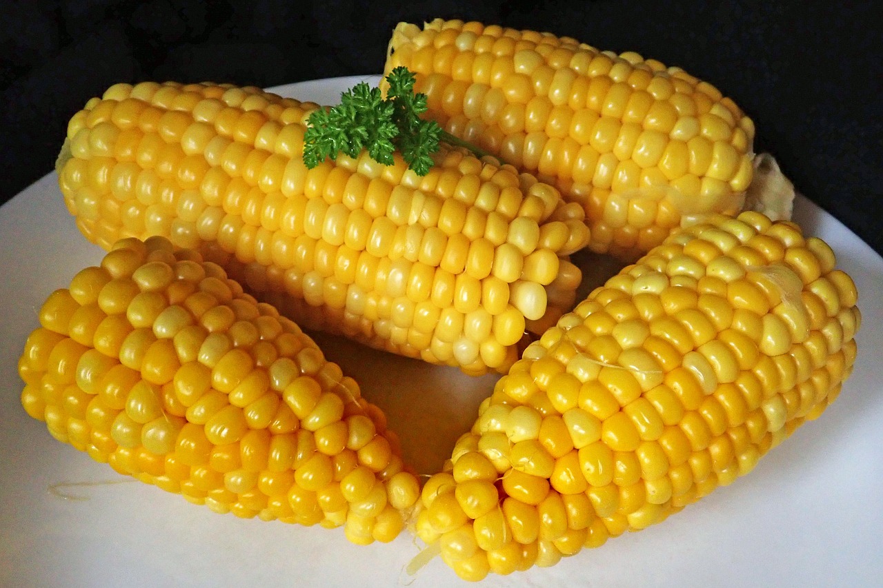 Vaření čerstvé kukuřice může trvat různě dlouho v závislosti na způsobu přípravy a velikosti kukuřice.