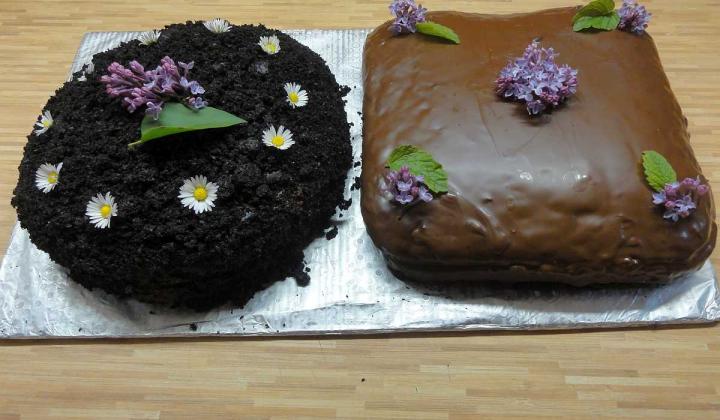 Jak upéct smrkový (borovicový) dort | recept