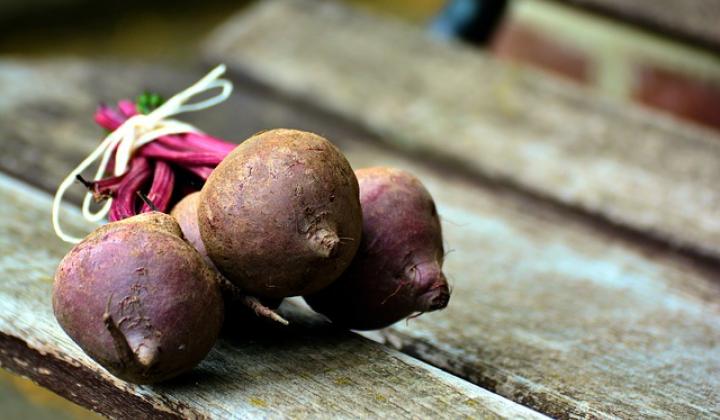 Jak Pestovat Krmnou Repu (krmná řepa, obvykle provádí, půdních rozborů, dosažení vysokých) Jak Pestovat Krmnou Repu