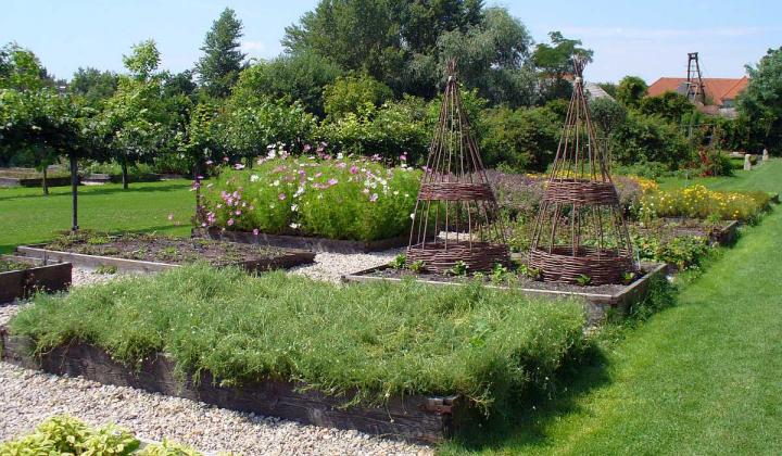 Jak se starat v červenci o zahradu | zahrada a rostliny
