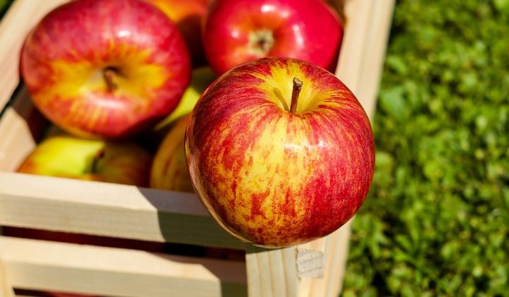 Jak udělat jablečné kroužky | recept na dezert
