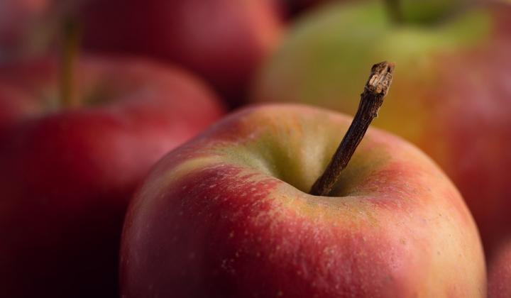 Jak udělat jablečná povidla | recept