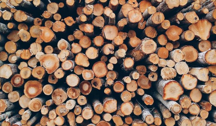 Jak skladovat palivové dřevo | rady
