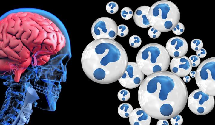 Jak si trénovat mozek aneb neurobik | rady