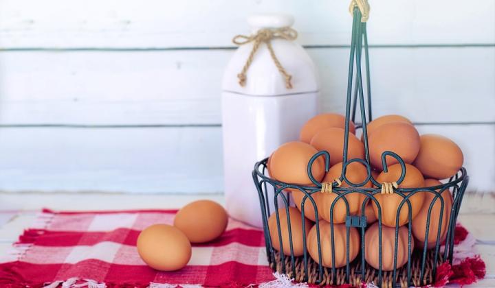 Jak poznat čerstvá vejce | rady