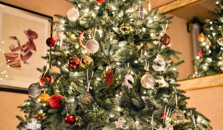 Jak správně pečovat o vánoční stromeček | tipy