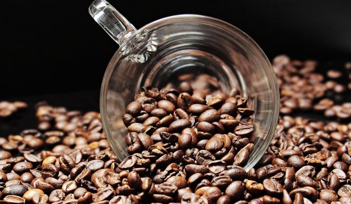 Jak se vyznat v kávě | tipy