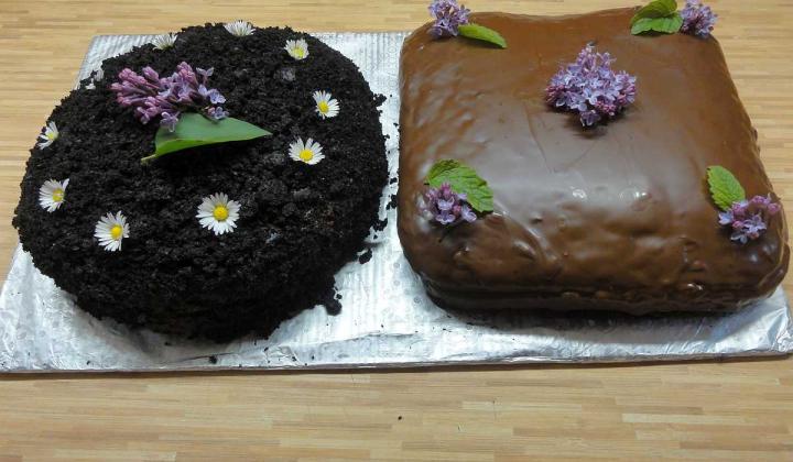 Jak upéct smrkový (borovicový) dort | recept