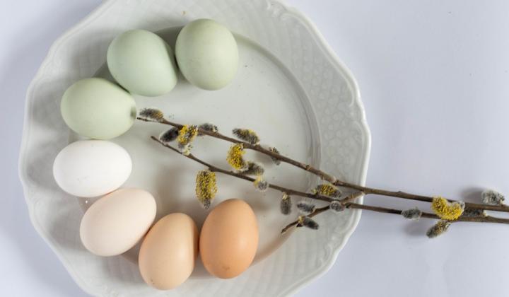 Jak vyfouknout velikonoční vajíčko jednou dírkou | postup