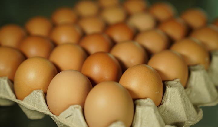 Jak vyrobit domácí vajíčkovou tlačenku | recept