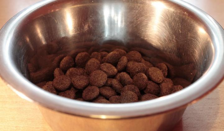 Jak poznat kvalitní krmivo pro psa – granule a konzervy | rady