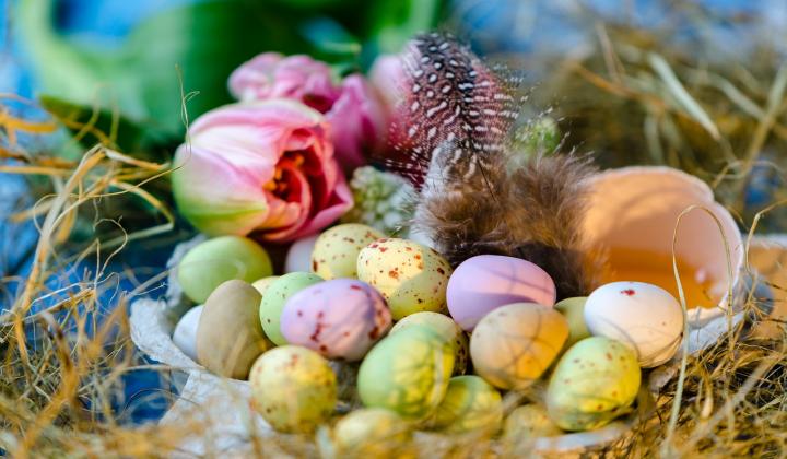 Jak zjistit datum pohyblivých svátků – Velikonoce | rady