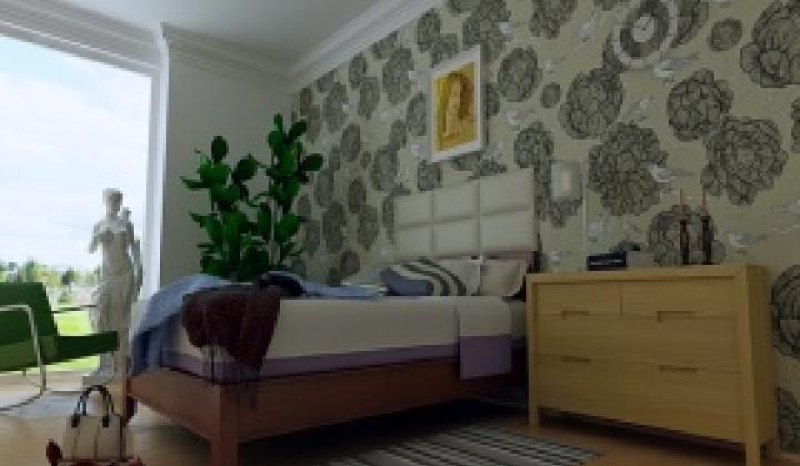 Jak snadno a úspěšně odstranit ze stěny tapety