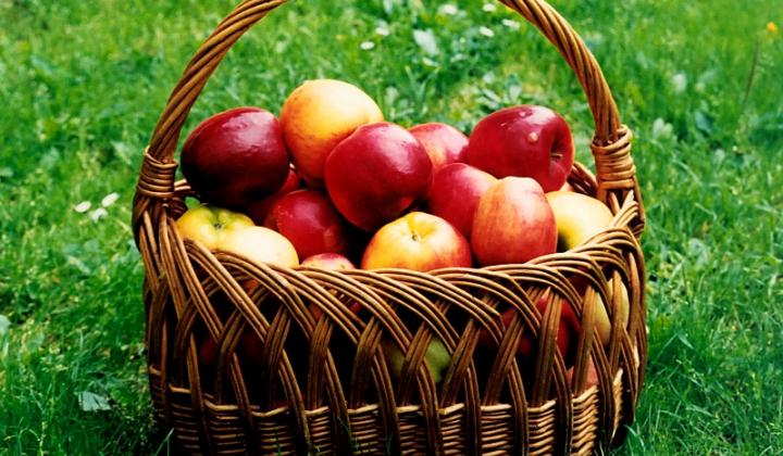 Jak zpracovat přebytek jablek | recepty