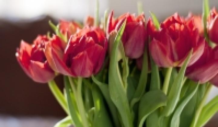 Jak vyzdobit byt jarními trendy