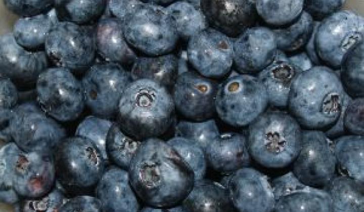 Jak připravit borůvkovou marmeládu | recept