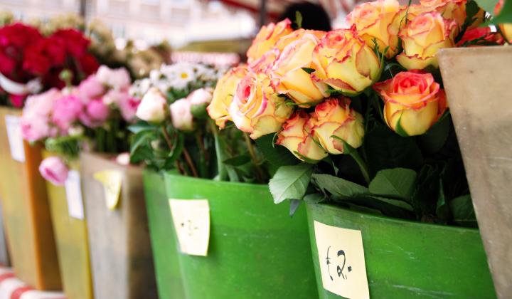 Jak pečovat o řezané květiny, aby dlouho vydržely