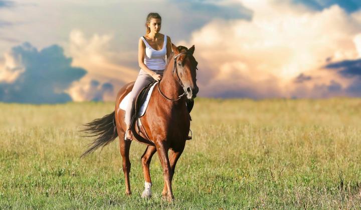Jak nasednout na koně