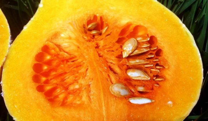 Jak poznat druhy jedlých dýní