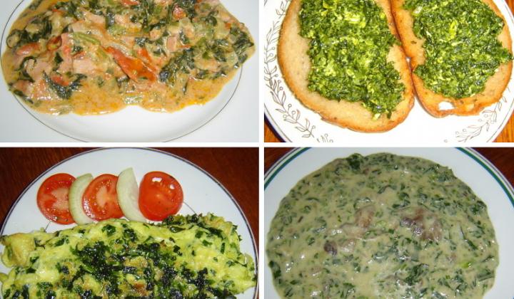 Jak vařit z medvědího česneku | recepty