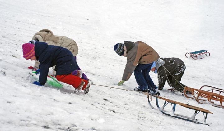 Jak vybrat boby nebo sáňky