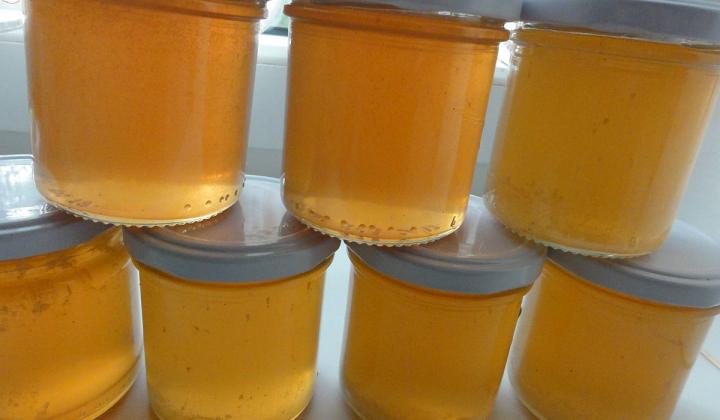 Jak připravit náhražku medu ze smrkových výhonků | recept