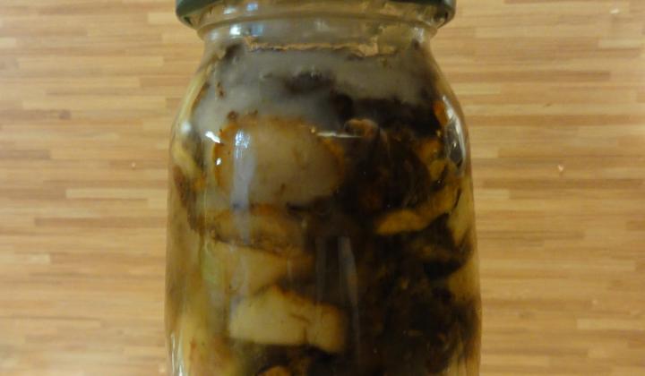 Jak připravit houby jako škvarky v sádle | recept