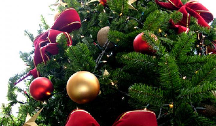 Jak správně pečovat o vánoční stromeček 
