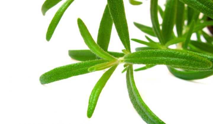 Jak připravit domácí bylinkové máslo | recept