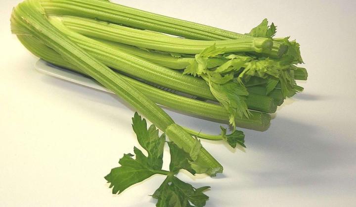 Jak pěstovat řapíkatý celer