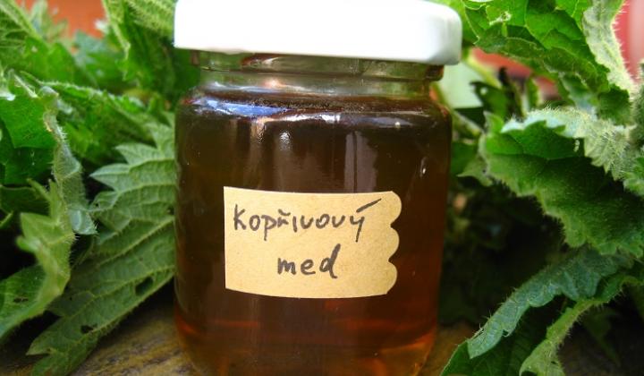 Jak na domácí kopřivový med | recept