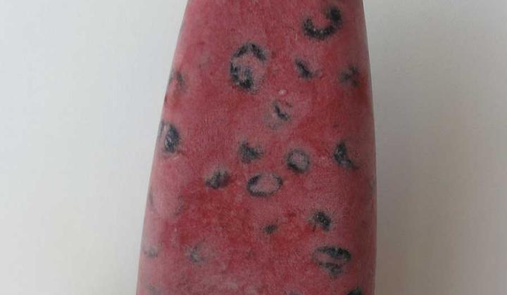 Jak si udělat domácí ovocnou zmrzlinu pro diabetiky | recept