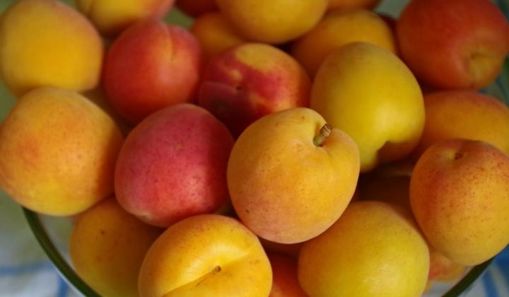 Jak připravit zdravý meruňkový džem | recept