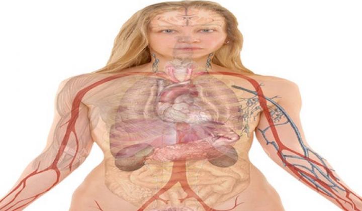 Jak fungují naše vnitřní hodiny a jak toho využít