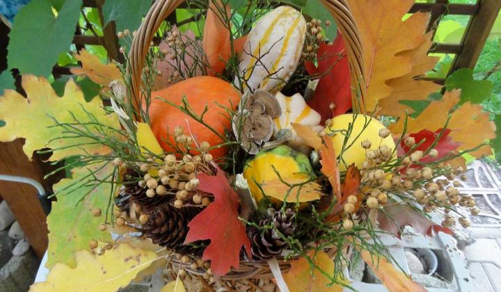 Jak vyrobit podzimní dekorace | tipy