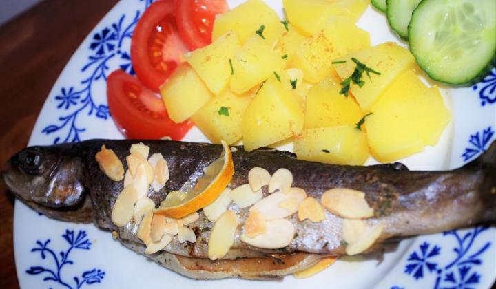 Jak připravit pečeného pstruha na mandlích | recept