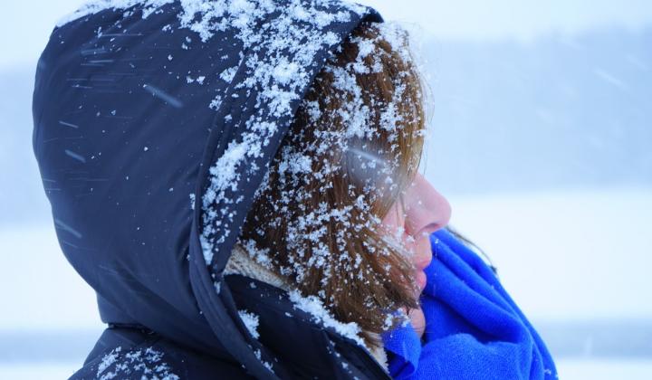 Jak bojovat proti lupům přírodní cestou