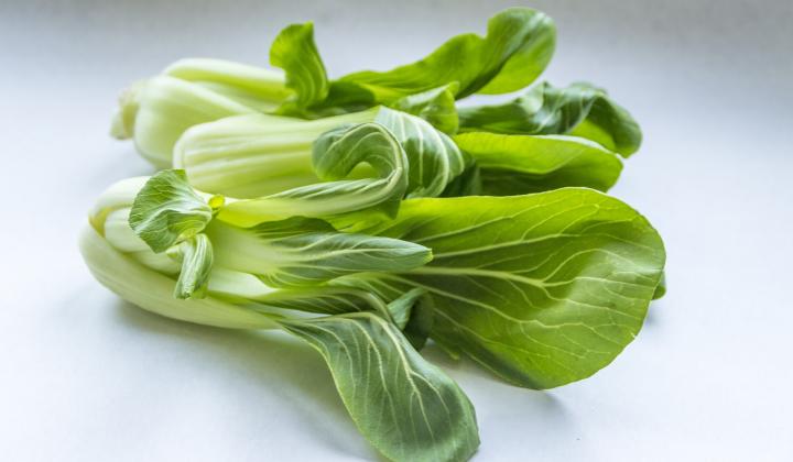 Jak používat zeleninu pak choi