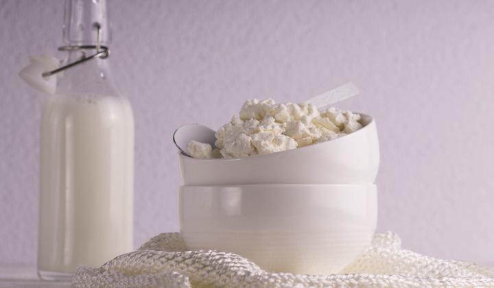 Jak a proč zařazovat mléčné výrobky do stravy