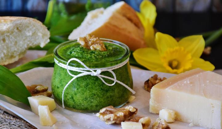 Jak vařit z medvědího česneku | recepty Jak vařit z medvědího česneku | recepty