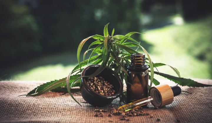 Jak vybrat CBD olej? Volte fullspectrum Jak vybrat CBD olej? Volte fullspectrum