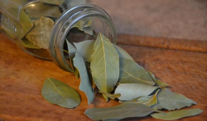 Jak využít bobkový list v kuchyni a poznat jeho další účinky | rady