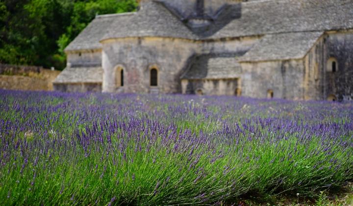 Jak si užít Provence | tipy