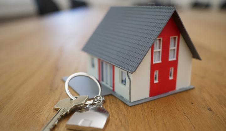 investice do realit