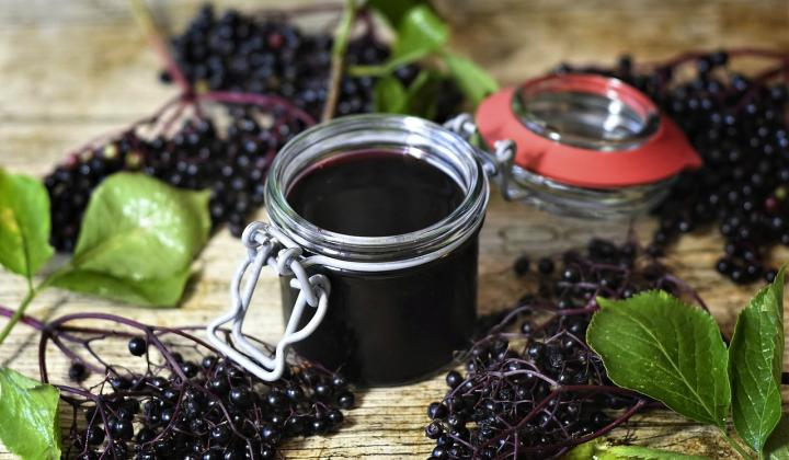 sirup z černého bezu