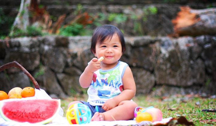 piknik